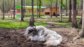 "Living Diamonds of Yakutia" Nature Park