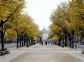 Unter den Linden